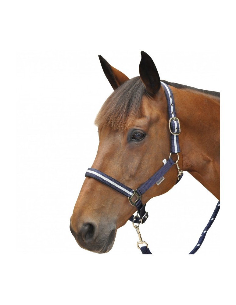 Licol + longe CANTER "Lurex"