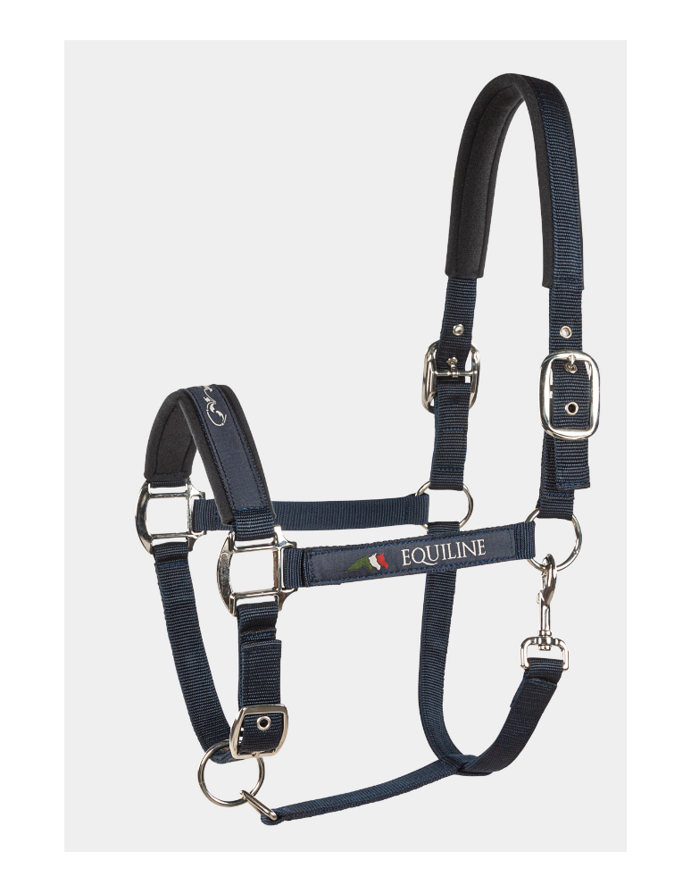 Licol EQUILINE "Timmy" Bleu