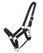 Licol yearling QHP Noir