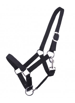Licol yearling QHP Noir