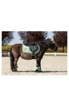 Tapis mini BR "Mini horse"