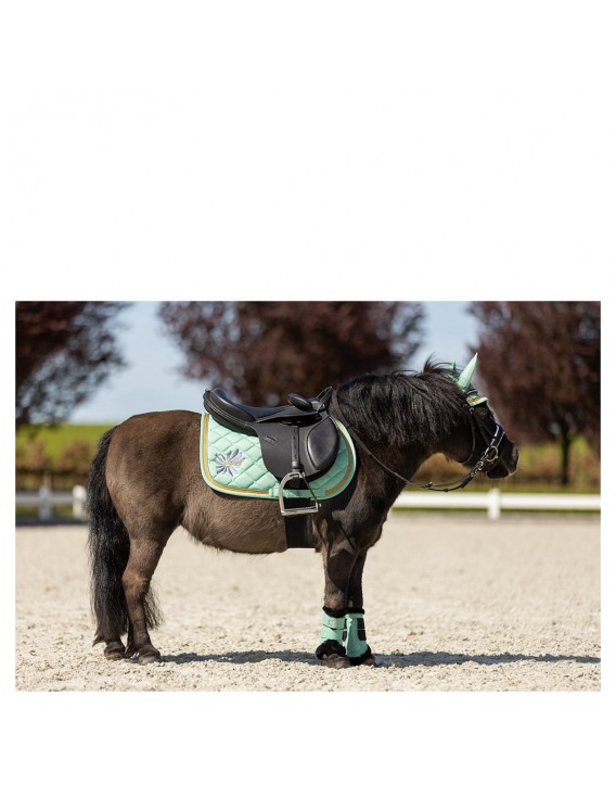 Tapis mini BR "Mini horse"