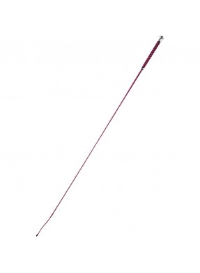 Stick dressage W&G "Points"