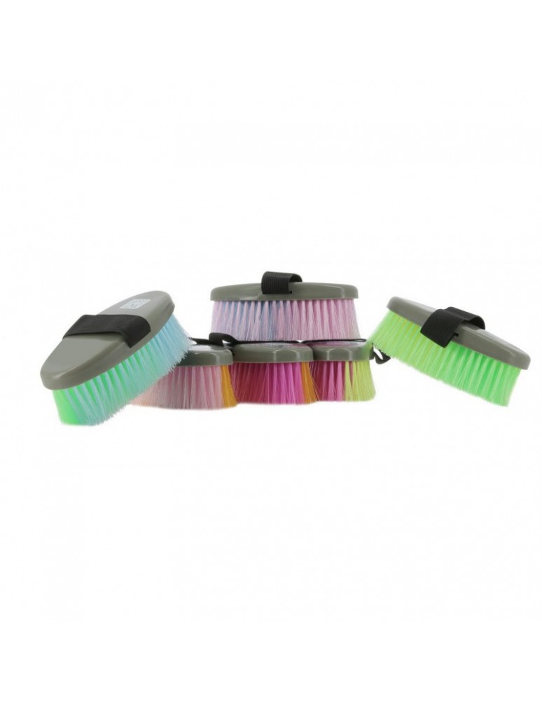 Brosse HIPPOTONIC "Multicolore Petit modèle"