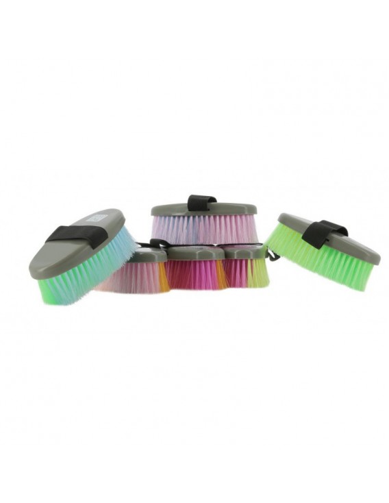 Brosse HIPPOTONIC "Multicolore Petit modèle"