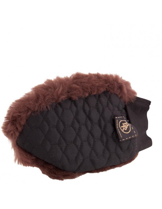 Gant de pansage BR