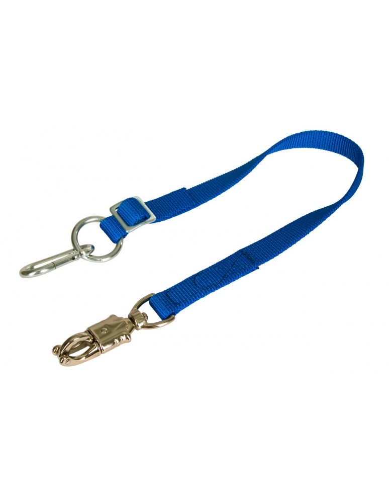 Sangle/longe d'attache pour transport réglable