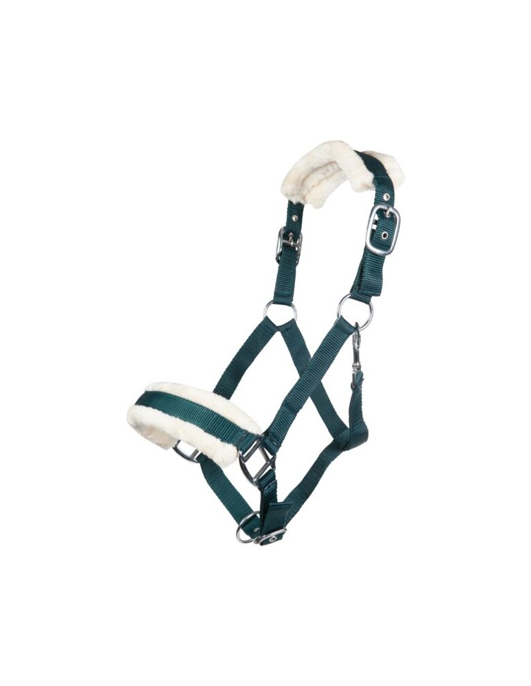 Licol mouton HKM "Bischofshofen" Vert foncé