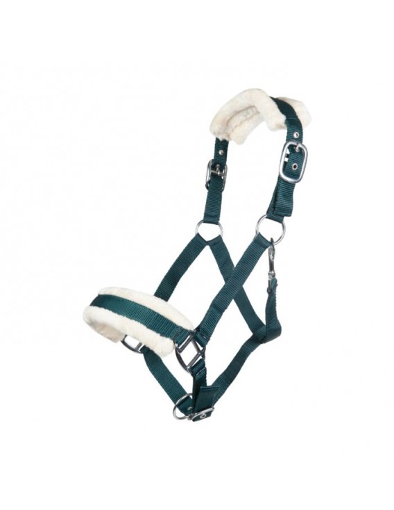 Licol mouton HKM "Bischofshofen" Vert foncé
