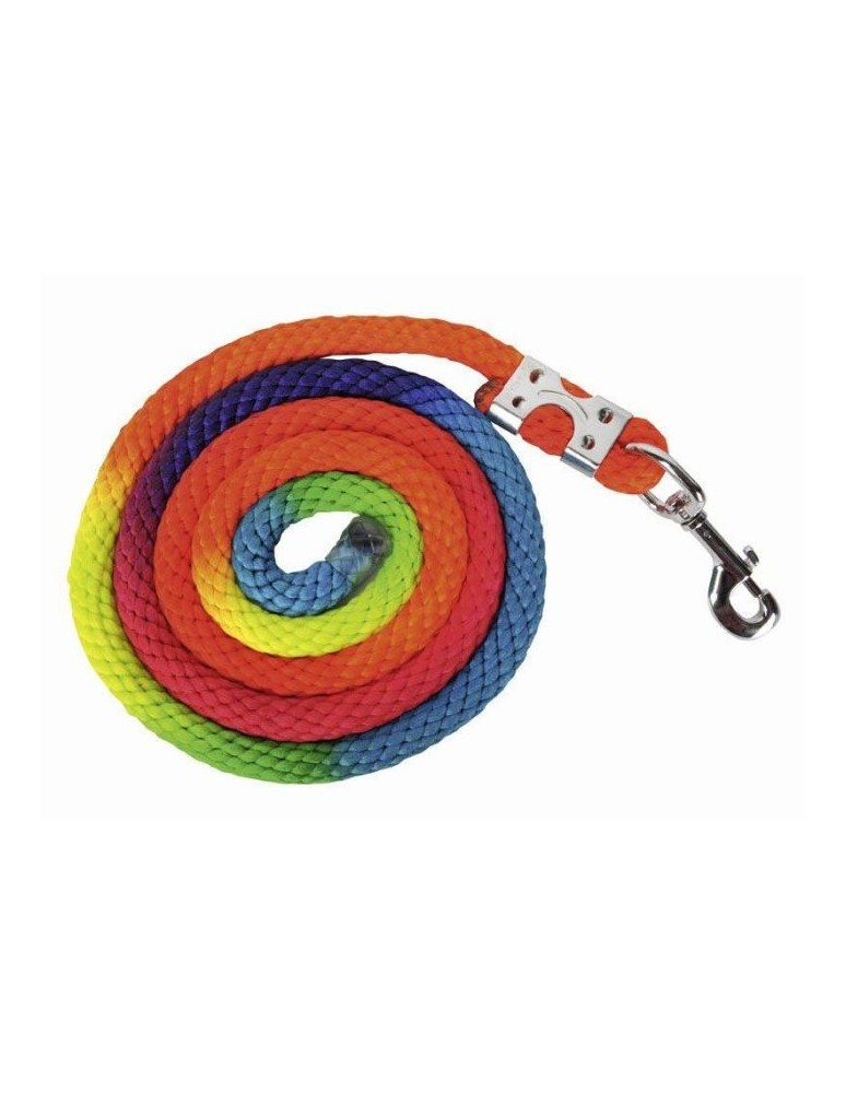 Longe multicolore