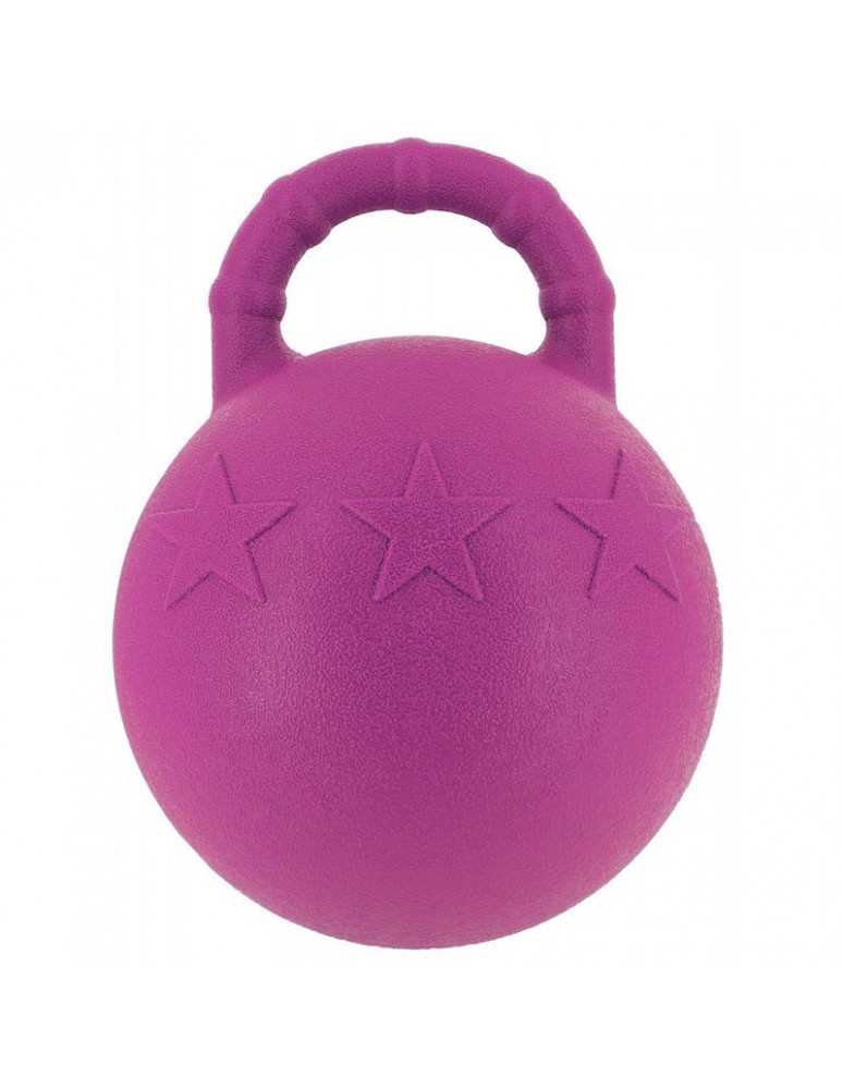 Ballon à poignée HIPPOTONIC