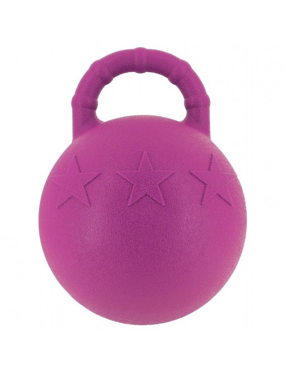Ballon à poignée HIPPOTONIC
