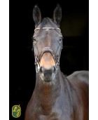 Bridon dressage LJ CUIRS "Rosado" havane
