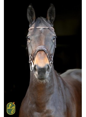 Bridon dressage LJ CUIRS "Rosado" havane