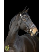 Bridon dressage LJ CUIRS "Rosado" havane