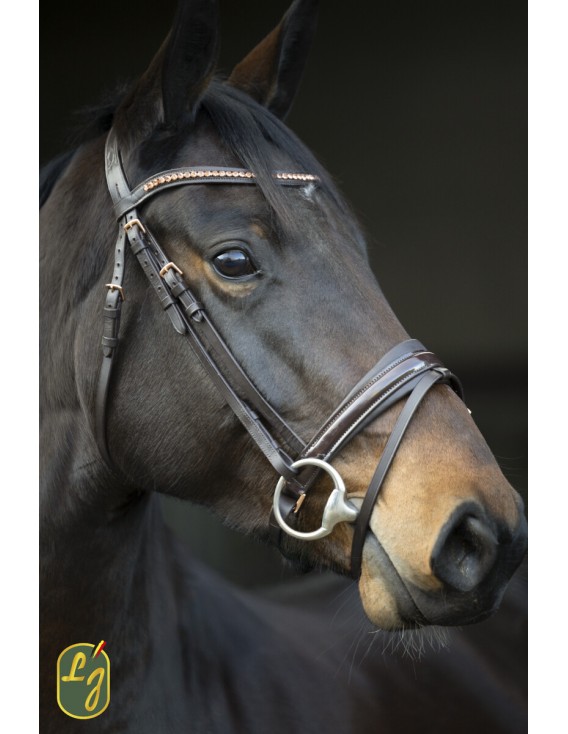 Bridon dressage LJ CUIRS "Rosado" havane