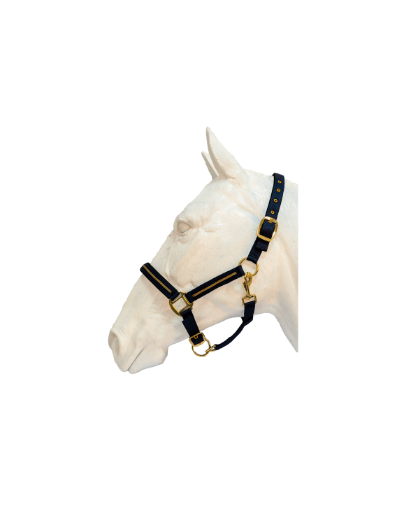 Licol + longe FLAGS&CUP "Nossa"