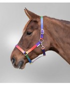 Licol WALDHAUSEN "Arc-en-ciel"