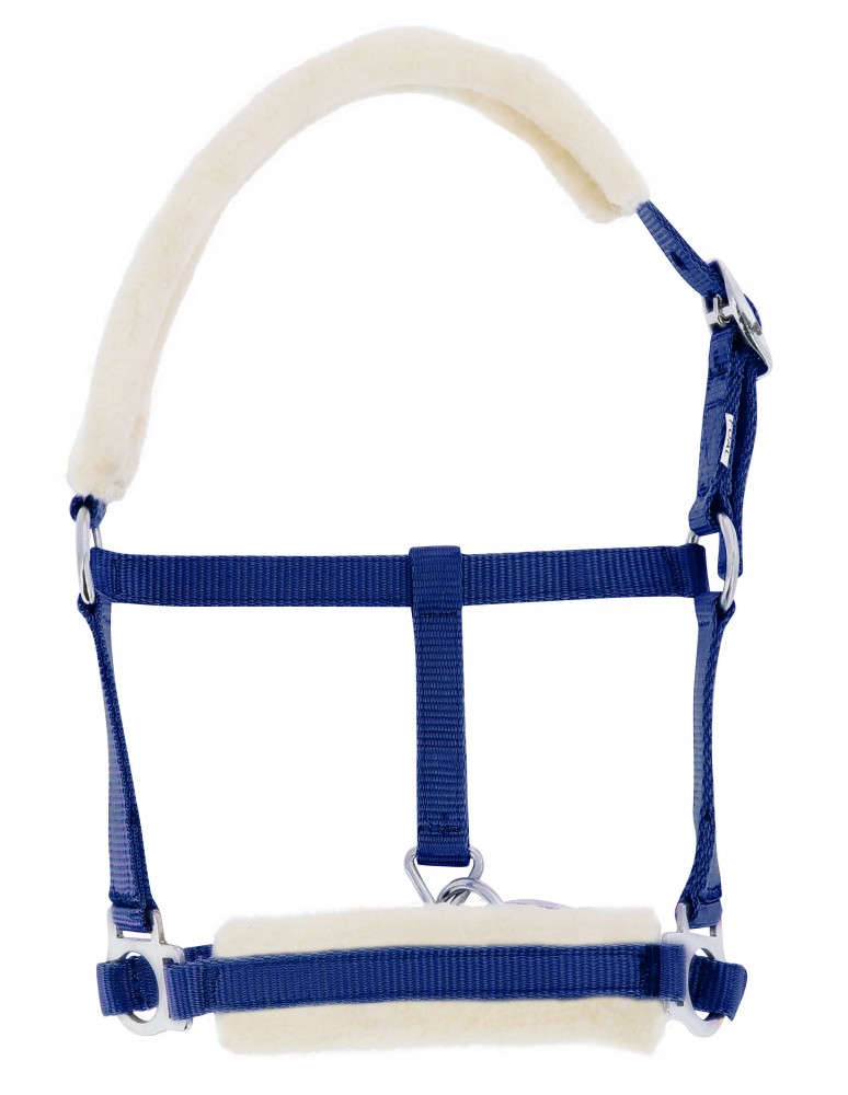 Licol mouton RIDING WORLD bleu roi
