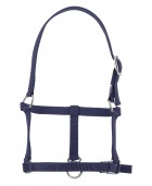 Licol RIDING WORLD "Foal" bleu marine