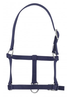 Licol RIDING WORLD "Foal" bleu marine