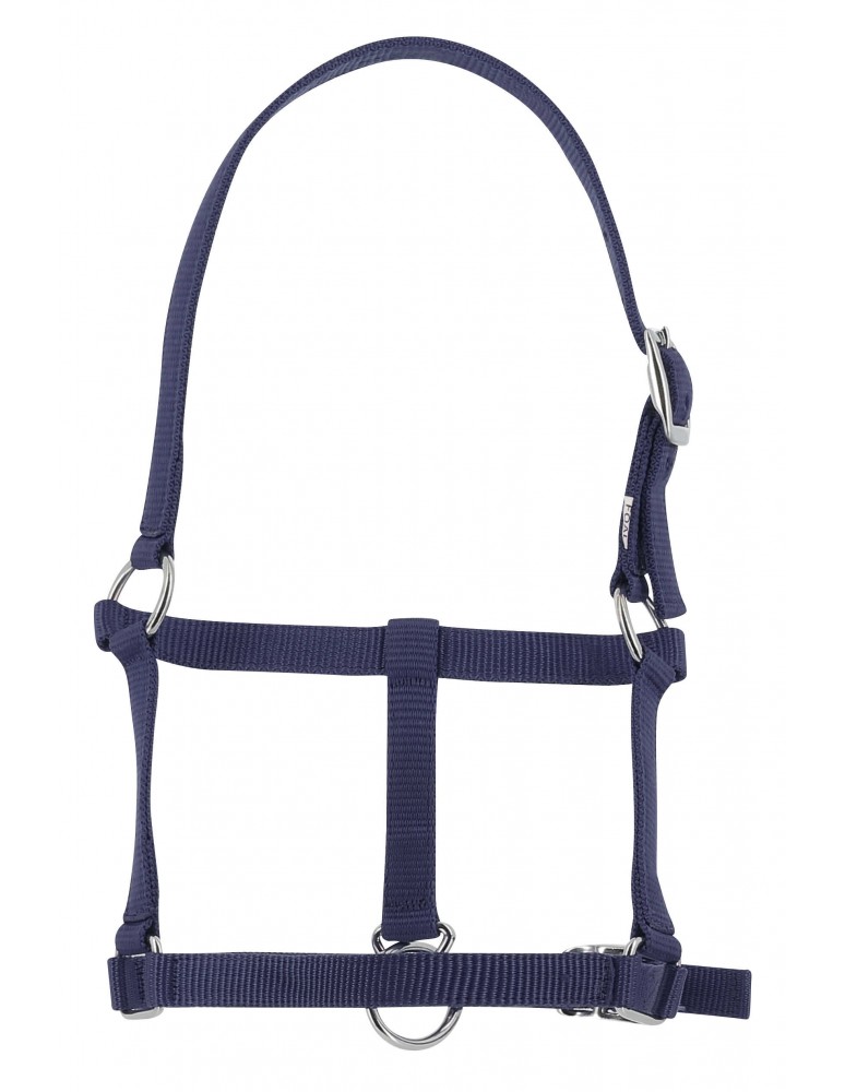 Licol RIDING WORLD "Foal" bleu marine