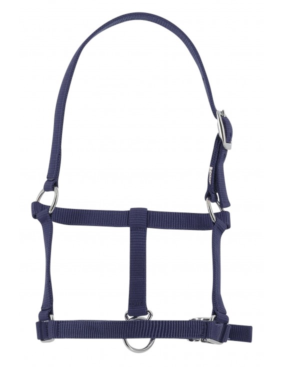 Licol RIDING WORLD "Foal" bleu marine