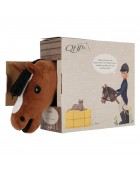 Cheval bâton QHP "Hobby horse" Bai