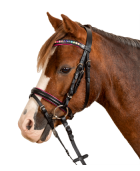 Bridon WALDHAUSEN "Star Pinky"