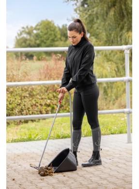 Pelle et rateau à crottins