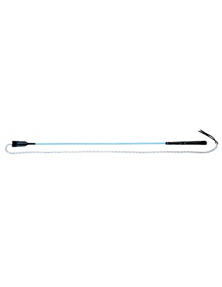 Carrot stick / stick éthologique
