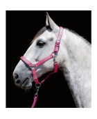 Licol nylon HKM "Stars" Rose