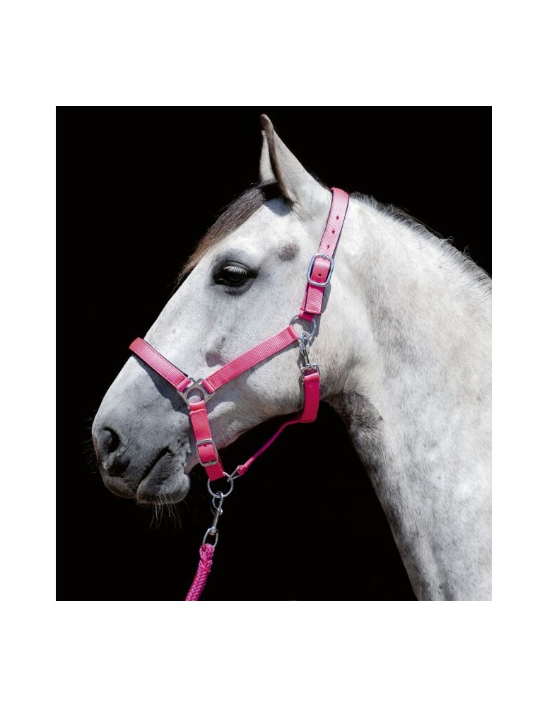 Licol nylon HKM "Stars" Rose