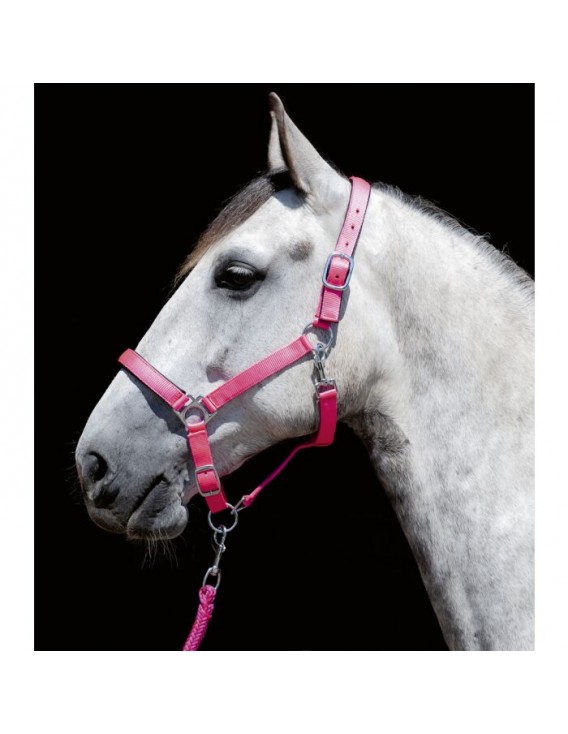 Licol nylon HKM "Stars" Rose