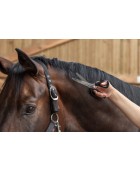 Ciseaux à crinière COVALLIERO