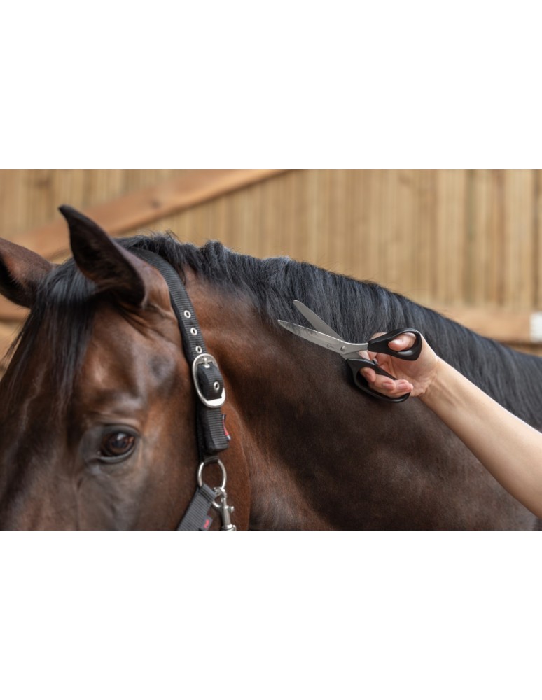 Ciseaux à crinière COVALLIERO