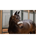 Licol cuir et mouton ESKADRON "Elegance"