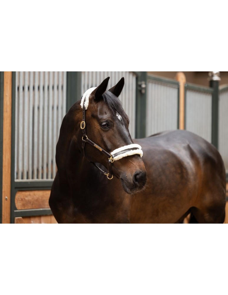Licol cuir et mouton ESKADRON "Elegance"