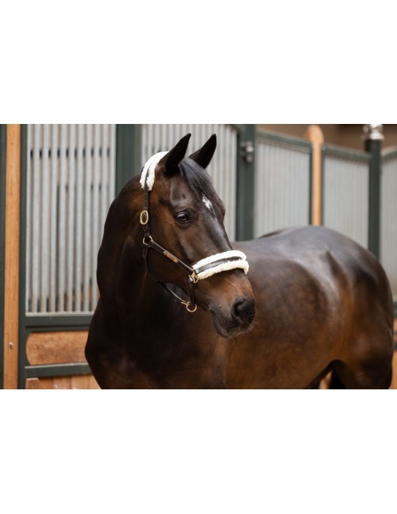 Licol cuir et mouton ESKADRON "Elegance"