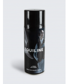 Nettoyant casque et airbag en spray EQUILINE 400ml