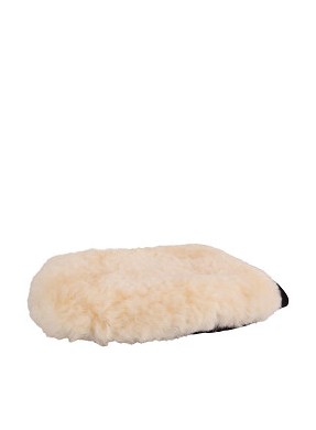 Gant de pansage BR