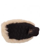 Gant de pansage BR