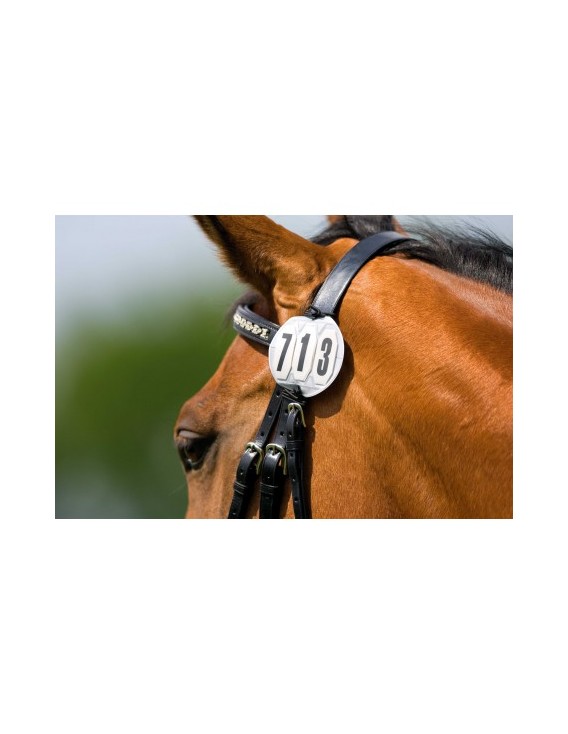 Numéro de départ 3 chiffres rond