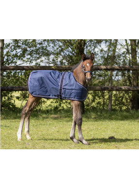 Couverture poulain QHP "600D / 100g"