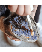 Huile fortifiante RAVENE "Pediflex"