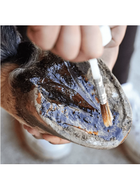 Huile fortifiante RAVENE "Pediflex"