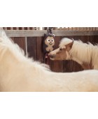 Jouet pour cheval ESKADRON "Hamster Heritage 25"
