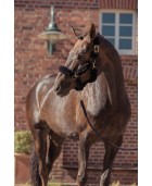 Licol ESKADRON Heritage 25 "Ffur complete"