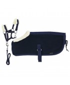 Set mini licol + couverture PONY ACADEMY