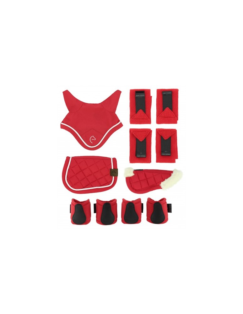 Set 5 accessoires PONY ACADEMY